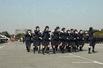 Dcim3263/DSC_9033