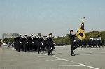 Dcim3263/DSC_9039