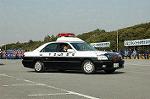 Dcim3263/DSC_9075