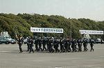 Dcim3263/DSC_9125