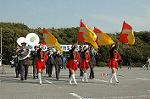 Dcim3264/DSC_9133
