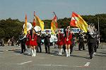 Dcim3264/DSC_9140