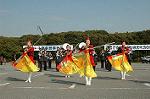 Dcim3264/DSC_9148