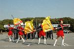 Dcim3264/DSC_9155