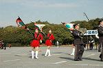 Dcim3264/DSC_9163