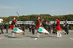 Dcim3264/DSC_9167