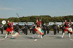 Dcim3264/DSC_9172