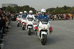 Dcim3264/DSC_9193