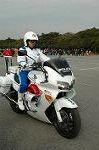 Dcim3264/DSC_9197