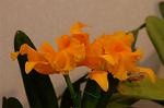 Dcim3266/DSC_9378