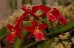 Dcim3266/DSC_9421