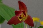 Dcim3266/DSC_9458