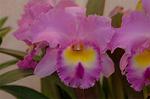 Dcim3266/DSC_9474
