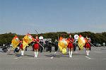 Dcim3270/DSC_6105