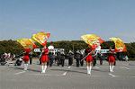 Dcim3270/DSC_6106