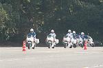 Dcim3270/DSC_6135