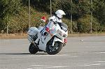Dcim3270/DSC_6157