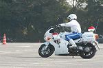 Dcim3270/DSC_6174