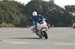 Dcim3270/DSC_6181