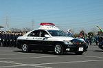 Dcim3274/DSC_9877