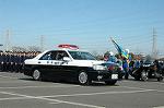 Dcim3274/DSC_9883