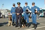 Dcim3275/DSC_0002