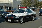 Dcim3278/DSC_0233