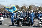 Dcim3279/DSC_6241