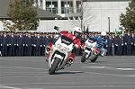 Dcim3279/DSC_6252