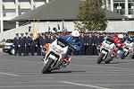 Dcim3279/DSC_6253