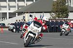 Dcim3279/DSC_6254
