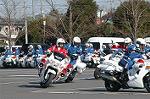 Dcim3279/DSC_6257