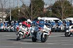 Dcim3279/DSC_6258