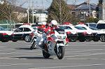 Dcim3279/DSC_6262