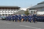 Dcim3279/DSC_6311
