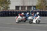 Dcim3281/DSC_6465