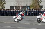 Dcim3281/DSC_6466