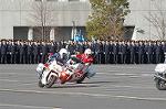 Dcim3281/DSC_6470