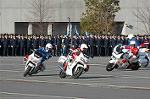 Dcim3281/DSC_6471