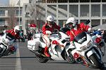 Dcim3281/DSC_6485