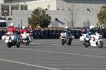 Dcim3281/DSC_6489