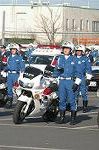 Dcim3281/DSC_6517