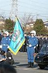 Dcim3281/DSC_6519