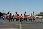Dcim3282/DSC_0617