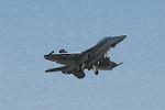 Dcim3303/DSC_1043