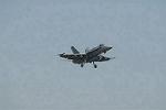 Dcim3303/DSC_1096