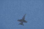 Dcim3303/DSC_1103