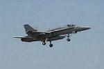 Dcim3304/DSC_1136