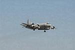 Dcim3304/DSC_1165