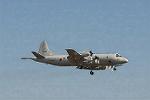 Dcim3304/DSC_1168